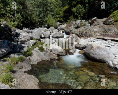 Wasser fließt über große Felsen in einem Bach. Bäume umgeben die Gegend. Sonnenlicht scheint auf das klare Wasser. Es ist eine natürliche Szene in einer natürlichen Umgebung Stockfoto