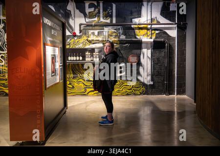 In der Teeling Whiskey Distillery in Dublin, Irland, befindet sich eine historische Whiskey-Ausstellung mit industriellem Dekor. Stockfoto