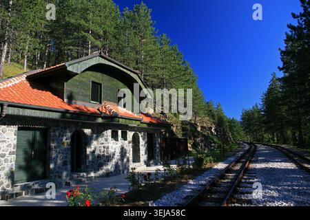 Sargan Eight – Schmalspurbahn in Serbien, die vom Dorf Mokra Gora zum Bahnhof Sargan Vitasi führt Stockfoto
