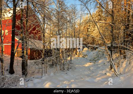 Gumböle, Finnland - 2024-01-06: Ein historisches rotes Holzgebäude befindet sich inmitten von frostbedeckten Bäumen in Gumböle, Espoo, Finnland, und wird von der Stockfoto