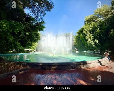 Der Brunnen auf der Plaza Luis Cabrera sprüht Wasser unter dichten Bäumen in Roma Norte, Mexiko-Stadt, und bietet einen ruhigen, grünen Raum mitten in der hauptstadt Stockfoto