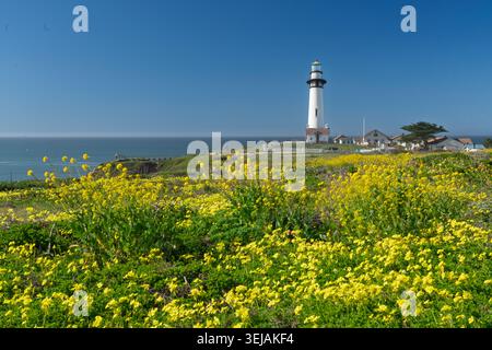 Die Pigeon Point lightstation am Pigeon Point Bluffs entlang des Pacific Coast Highway 1, Kalifornien, USA. Stockfoto