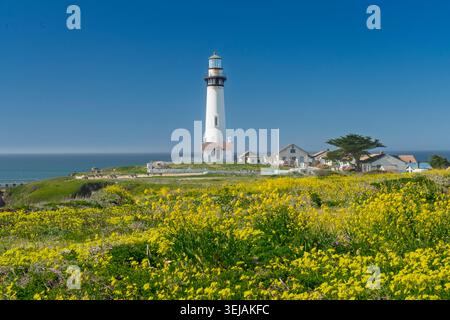 Die Pigeon Point lightstation am Pigeon Point Bluffs entlang des Pacific Coast Highway 1, Kalifornien, USA. Stockfoto