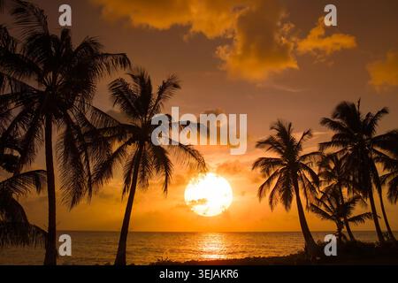 Ein atemberaubender goldener Sonnenuntergang über dem Meer auf der Insel San Andres in Kolumbien mit Silhouetten von Palmen. Stockfoto