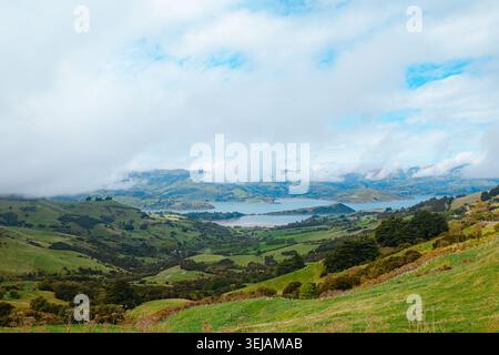 Akaroa Harbour, Neuseeland: Blick von der Straße aus auf üppige grüne ländliche Weiden und eine lebendige blaue Meeresbucht mit weißem Nebel über vulkanischen Kraterhügeln Stockfoto