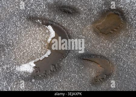 Eisstrukturen in einem Bach, Gaellivare, Norrbotten, Lappland, Schweden, Oktober 2020 Stockfoto