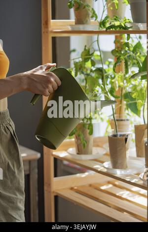 Frau, die Zimmerpflanzen mit grüner Gießkanne bewässert, betont die Pflege und Pflege von einheimischen Pflanzen auf Holzregalen. Gärtner Girl nimmt ca. Stockfoto