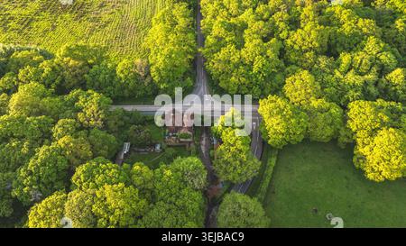Eine Drohne über der Decke fängt eine ruhige Landschaft mit einer Kreuzung, einem charmanten Haus und einem lebendigen, in Sonnenlicht getauchten Laub ein Stockfoto