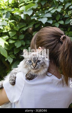 Eine Frau hält eine neva-Maskerade-Katze in ihren Armen. Die Katze ist flauschig und hat ein blaues Auge. Die Frau trägt ein weißes Hemd und hat ihr Haar in einem Po Stockfoto