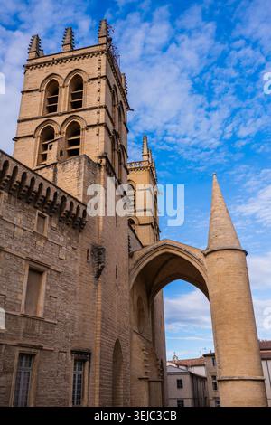 Kathedrale St. Peter in Montpellier, Frankreich Stockfoto