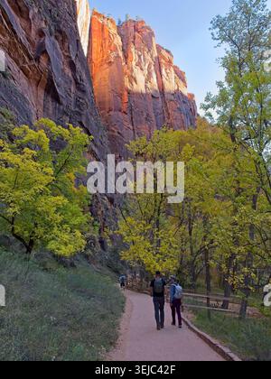 Wanderer entlang des Flusses spazieren durch einen Canyon mit herbstlicher Farbe im Zion National Park – Springdale, Utah, November 2025 Stockfoto