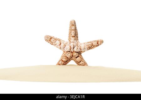 Seesterne auf Sand isoliert auf weißem Hintergrund. Minimales Sommerstrand-Konzept mit Kopierraum. Vorderansicht. Stockfoto