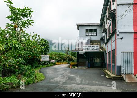 Werkseingang der BOH Sungai Palas Teeaufbereitungsanlage mit Nebelbergen und tropischem Garten, Cameron Highlands, Malaysia Stockfoto