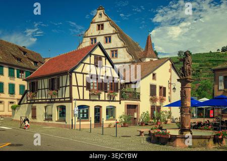 Andlau, Frankreich - 12.08.2023: Malerischer Blick auf die traditionelle Fachwerkarchitektur und einen zentralen Brunnen in der Nähe üppiger Weinberge Stockfoto