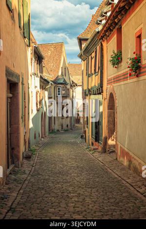 Riquewihr, Frankreich - 12.08.2023: Charmante mittelalterliche Gasse mit alten Fachwerkhäusern mit roten Geranien und strukturiertem Steinpflaster Stockfoto