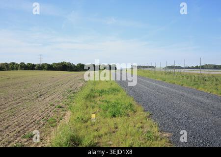 Asphaltstraße, die sich durch lebhafte grüne Felder und Wiesen unter einem hellblauen Himmel erstreckt Stockfoto