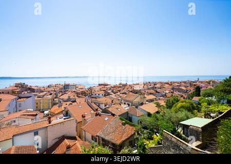 Piran, Slowenien. Mai 2026. Ein Panoramablick zeigt eine Ansammlung von Gebäuden mit Terrakotta-Dach und Blick auf ein ruhiges blaues Meer unter klarem Himmel. Üppige gr Stockfoto