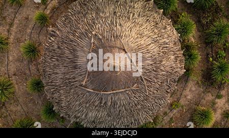 Blick von oben nach unten auf den traditionellen Toulou Keur im Senegal, runder Gemüsegarten, der von afrikanischen Bauern für Permakultur und Landwirtschaft genutzt wird Stockfoto