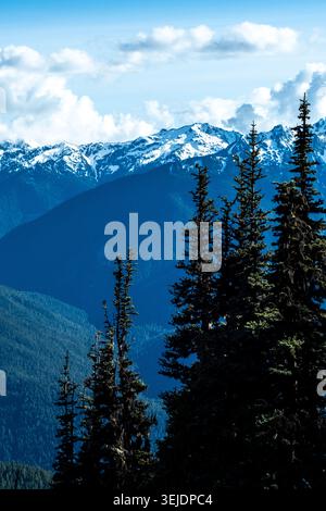 Majestätische schneebedeckte Berge über einem Wald Stockfoto