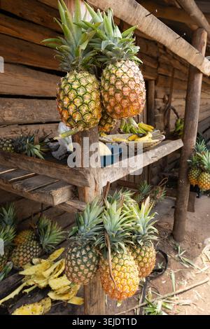 Reife Ananas und tropische Früchte werden auf einem rustikalen Marktstand im Freien in Uganda ausgestellt, wo lokale Landwirtschaft, frische Produkte und bunte Ernte präsentiert werden Stockfoto