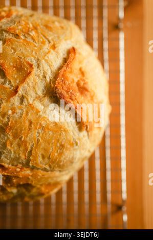 Frisch gebackenes Sauerteigbrot, das auf einem Gitterrost in der Küche gekühlt wird Stockfoto
