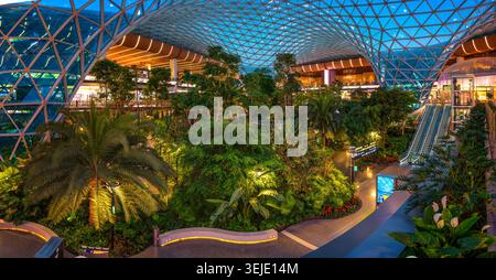 Der Orchard Indoor Tropical Garden am Hamad International Airport in Doha, Katar Stockfoto