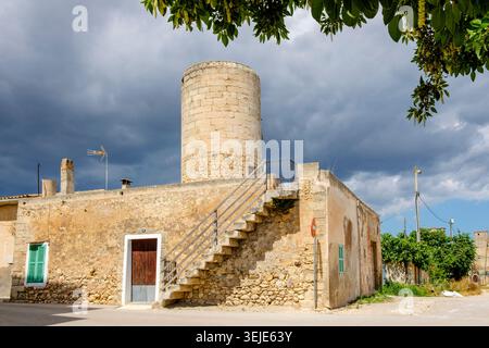 Moli d en Pastureta, Bezirk Fartarix, Manacor, Mallorca, balearen, Spanien Stockfoto