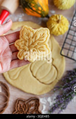 Zubereitung von festlichen Keksen zum Backen im Ofen. Stockfoto