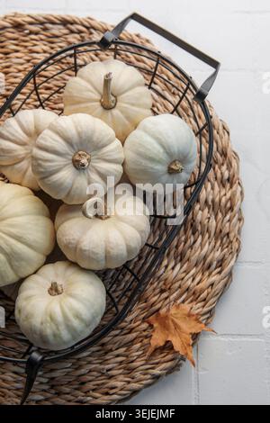 Weiße Kürbisse und Herbstblätter in einem Metallkorb. Einrichtung im Herbst. Stockfoto