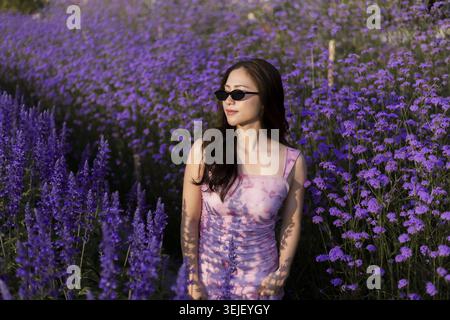 Eine ruhige junge asiatische Frau in lila Kleid und Sonnenbrille steht in einem wunderschönen Feld mit Lavendelblumen. Friedliches Porträt weiblicher Natur und Stockfoto