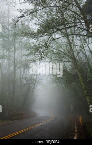 Eine schmale Straße in Taiwan führt durch nebelige Wälder, was auf eine ruhige Entdeckungsreise und neue Entdeckungen hindeutet. Stockfoto