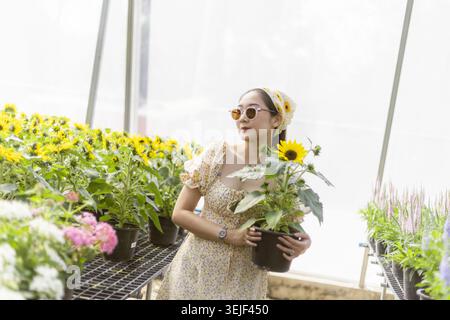 Glückliche asiatische Frau beim Einkaufen für schöne Sonnenblumenpflanze im Sommergarten-Gewächshaus. Fröhliche Frau genießt einen natürlichen und entspannenden Outdoor-Lifestyle Stockfoto