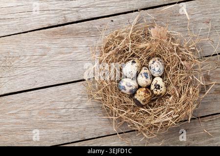 Wachtel-Eiern im Nest auf rustikalen hölzernen Hintergrund Stockfoto