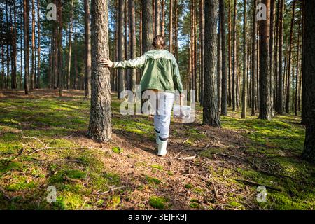 Rückansicht einer Frau, die im Herbst zwischen Kiefern durch den Wald spaziert und Pilzsuche sucht Stockfoto