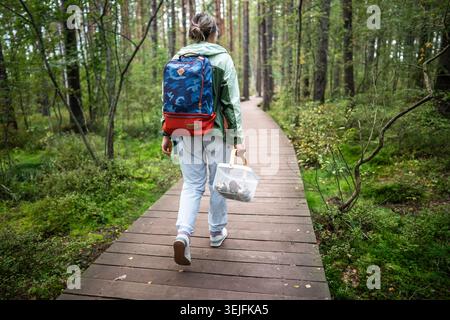 Rückansicht weibliche Wanderer mit Pilzkorb auf Öko-Trail durch bewaldete Hochmoore Stockfoto