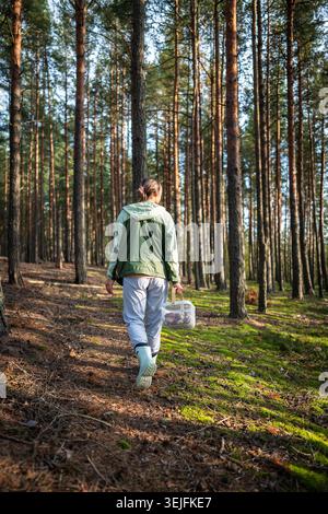 Rückansicht einer Frau, die im Herbst zwischen Kiefern durch den Wald spaziert und Pilzsuche sucht Stockfoto