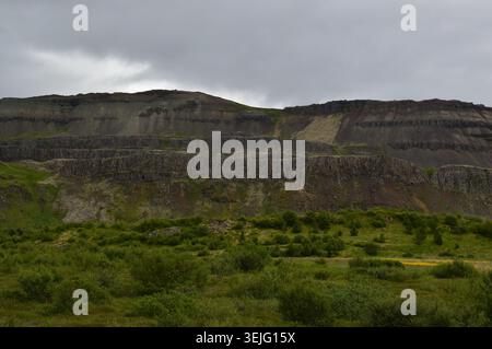 Ein herrlicher Blick auf die geschichteten vulkanischen Basaltklippen und Plateaus über üppiger grüner Vegetation unter einem bewölkten, grauen Himmel in Island. Stockfoto