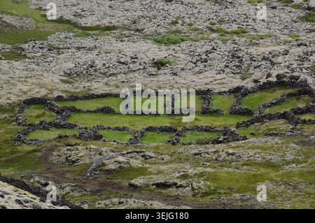 Ein altes historisches Steinhüttengehege aus vulkanischen Steinen auf einer grünen grasbewachsenen Wiese innerhalb eines riesigen moosigen Lavafeldes im Westen Islands. Stockfoto