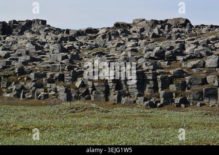 Eine zerklüftete Wand aus geometrischen Säulen-Basaltfelsen, die über einem grasbewachsenen grünen Feld unter klarem Himmel aufragt. Stockfoto
