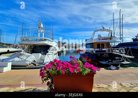 Malerischer Hafen mit verankerten Yachten und blühenden Pflanzen im Vordergrund in Porto Rotondo, Sardinien, Italien Stockfoto