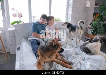Glückliches Millennials-Paar beim Frühstück im Bett und beim Spaß mit ihren Hunden Stockfoto