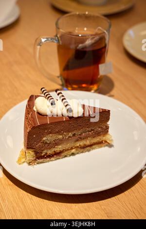 Ein Stück köstlicher Schokoladenmousse-Kuchen auf einer weißen Platte mit einer heißen Tasse Tee im Hintergrund. Stockfoto