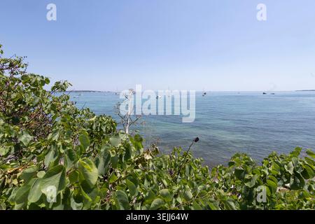 Golfe Juan 29052026 - Strand von Golfe-Juan, Gemeinde Vallauris Golfe-Juan Vallauris Golfe-Juan, Departement Alpes-Maritimes, Südfrankreich. Der Badeort liegt zwischen Cannes und Antibes an der Cote d Azur. Die Bucht von Golfe-Juan erstreckt sich zwischen dem Cap d Antibes und den Lerin-Inseln Iles de Lerins und bietet oeffentliche und private Sandstraende zu beiden Seiten der zwei Jachthafen. Die Kuestenlinie umfasst 3,5 km. Golfe-Juan ist historisch bekannt als Landungsort Napoleons im Maerz 1815 nach seiner Rueckkehr von der Insel Elba. Die Gemeinde Vallauris ist auch bekannt als W Stockfoto