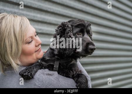 Eine junge Frau, die ihren Cocker Spaniel Hund auf grauem Hintergrund hält Stockfoto