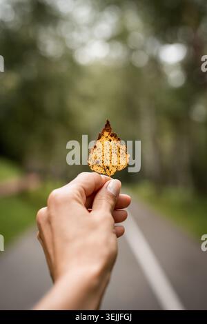 Hand hält gelbes Blatt auf herbstlichem gelben Straßenhintergrund Stockfoto
