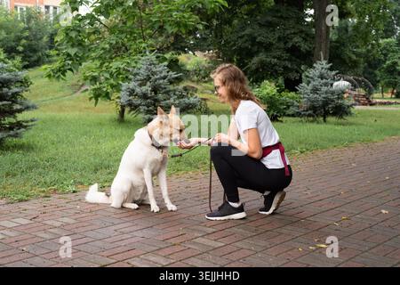 Junge Frau, die Ausbildung ihres Hundes in einem park Stockfoto