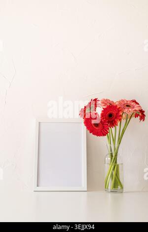 Rote Gerbera-Blüten mit einem leeren weißen Rahmen auf weißem Hintergrund Stockfoto