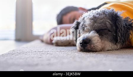 Junger Mann, der mit seinem Hund auf dem Boden schläft Stockfoto