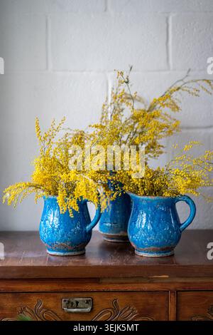 Strauß Mimosablüte in blauer Keramikvase über weißer Wand zu Hause. Akazien Dealbata, Frühling. Stockfoto