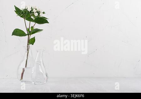 Kleine weiße Blumen und grüne Blätter in weißem Licht, weicher Grunge-Innenraum, Kopierraum. Stockfoto